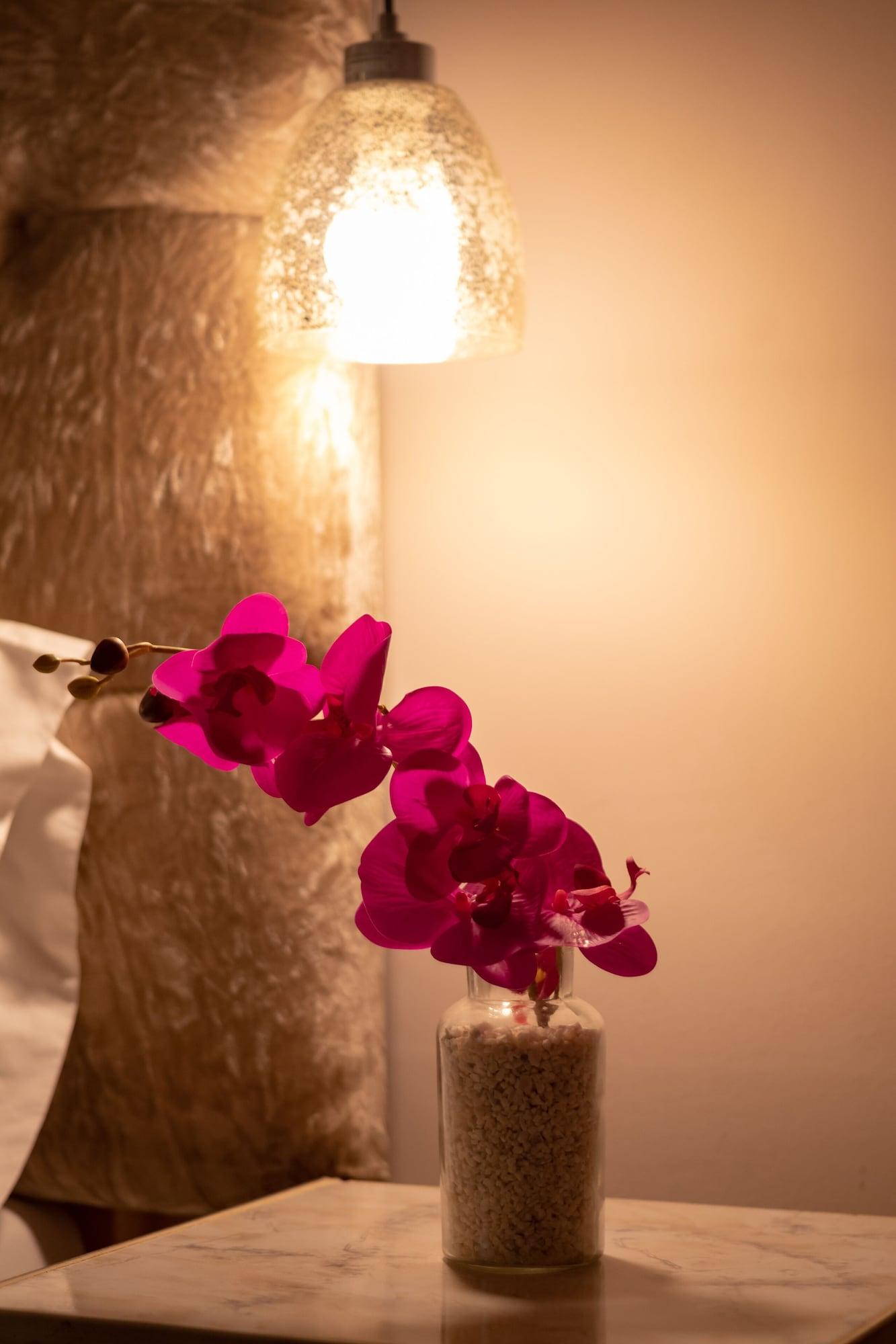 Aposentos De San Pedro Hotel Cartagena Eksteriør billede